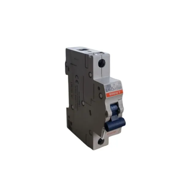 Interruptor termomagnético 1P 6A curva C 10kA 240V CA montaje riel DIN IP20