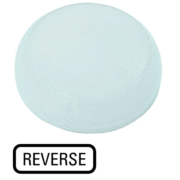 M22-XL-W-GB16 RMQ-Titan Lente para luz piloto Diseño-Plano color Blanco -REVERSE